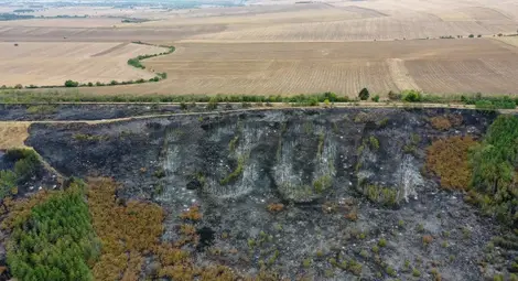Новото засаждане на изпепеления зелен символ &bdquo;1300&ldquo; - най-рано след година