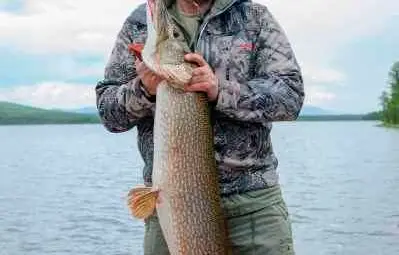 Особености на президентския риболов в Русия /галерия/