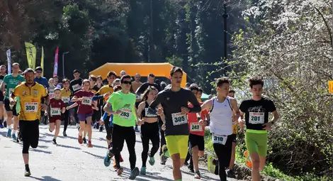 Над 300 бегачи стартираха в седмия Дунавски маратон „Prista RUN 2024“ Над 300 бегачи стартираха в седмия Дунавски маратон „Prista RUN 2024“