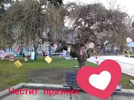 И тази година Дървото на влюбените ще разцъфне на 14 февруари пред Доходното здание