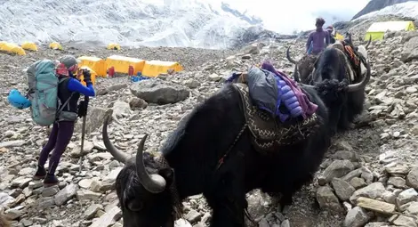 Иван Томов за втория покорен осемхилядник: След тегавия опит от трите пакистански експедиции Непал и Манаслу ми се сториха рай