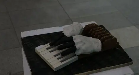 &bdquo;Clavissimo&ldquo; бръкна дълбоко в чувствата и поривите на русенските художници