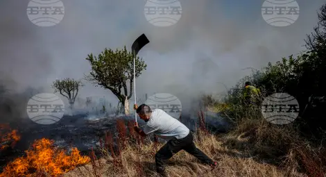 Снимка: БТА