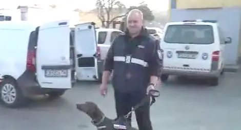 Елегантната Адел открива дрога, оръжие и пари на Дунав мост