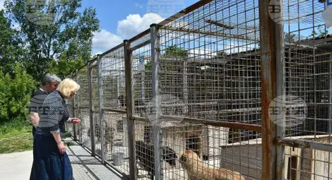 Снимка: БТА Снимка: БТА