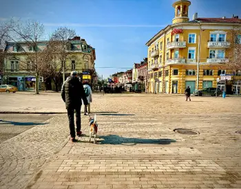 Изпълнителят на повдигнатото кръстовище при Халите ще го ремонтира за своя сметка