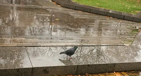 Слънце, дъжд и мълнии на 13 май