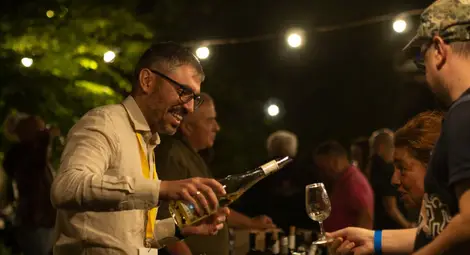 &bdquo;Винофрения&ldquo; се завръща в Русе на 1 и 2 май с 30 изби, отлежало вино под морското равнище и артистична програма&nbsp;