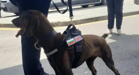 Елегантната Адел открива дрога, оръжие и пари на Дунав мост