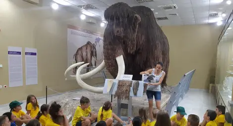 Близо 100 000 посетители в обектите на русенския музей през 2024 година – с над 5000 повече от 2023-а Близо 100 000 посетители в обектите на русенския музей през 2024 година – с над 5000 повече от 2023-а