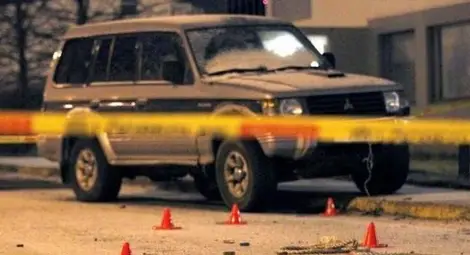 Полицията в Исландия за пръв път в историята си уби човек