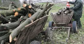 Горските конфискуваха  автомобил и две каруци