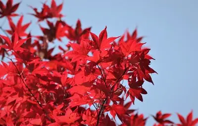 Времето до вторник - без промяна и топло за сезона, след сряда ще вали