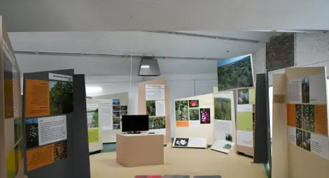 Снимка: Пресцентър Снимка: Пресцентър