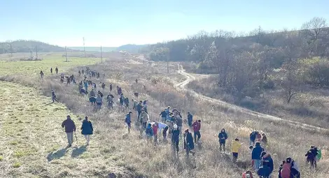 Стъпка по стъпка: Идеята става гора, гората ще стане парк, паркът ще среща хората с природата