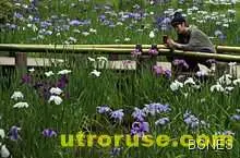 Градинарството се бори с депресията