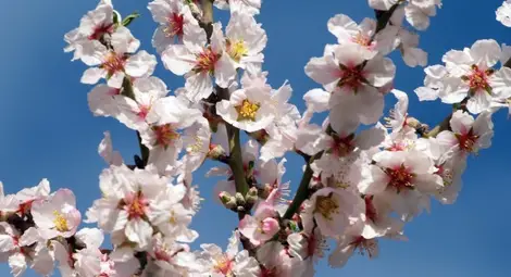 Мартенското време: Очакват ни температури от минус 8&deg; до плюс 25&deg;