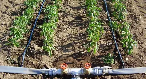 Фермери дупчат земята за изграждане на кладенци