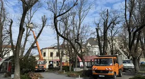 Снимката е илюстративна. Снимката е илюстративна.