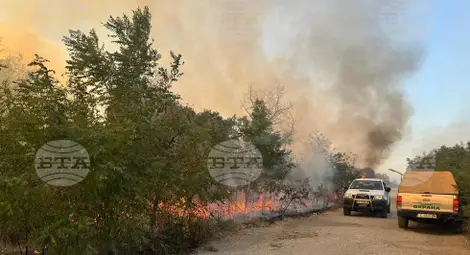 Снимка: БТА