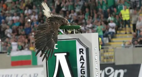 Лудогорец срещу Стяуа пред прага на групите на ШЛ