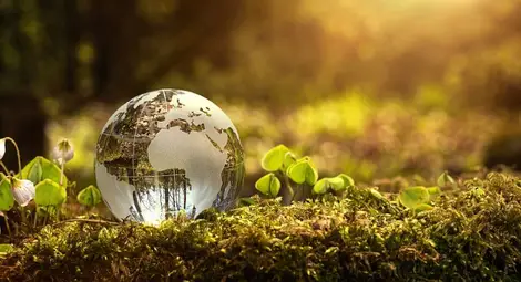 Отбелязваме Международния ден на Земята