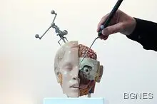 Фантастика в действие: Трансплантациите на цяло тяло възможни до 2 години