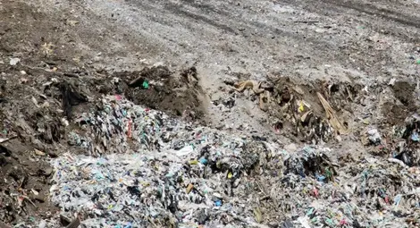 Опасност: Радий 226 е открит в сметище край плевенско село