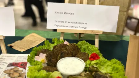 Читалище &bdquo;Васил Левски &ndash; 1928&ldquo; в село Сандрово получи признанието &bdquo;Библиотека на годината&ldquo; за 2024 г.