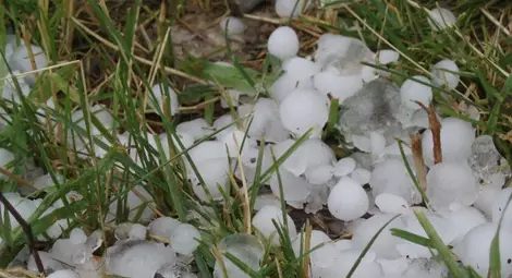 Фермерите плащат по 50 стотинки на декар за защита от градушки