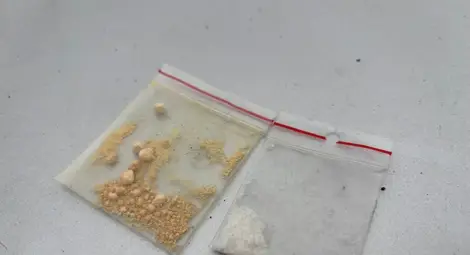 Русенската полиция участва в залавянето на крадци от селото на Слави Трифонов Русенската полиция участва в залавянето на крадци от селото на Слави Трифонов