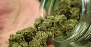 Двама с условни присъди  за 9 буркана марихуана