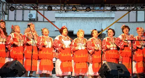 Патриотите-ВМРО закриха предизборната си кампания със звезден концерт