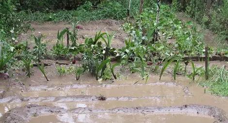 Половинметрова вълна потопи в кал и разрушения Касева чешма