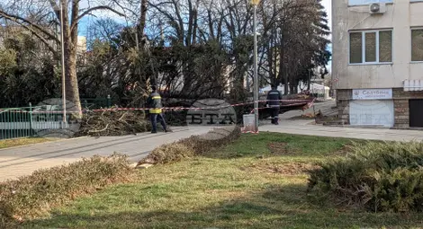 Снимка: БТА