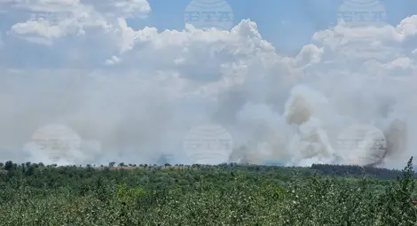 Снимка: БТА Снимка: БТА