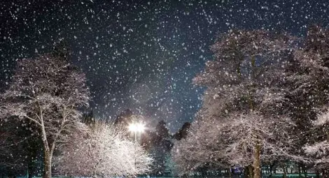 Прогноза за времето за 27 януари 2013 г.