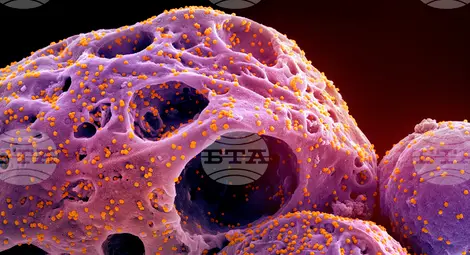 Снимка: БТА Снимка: БТА