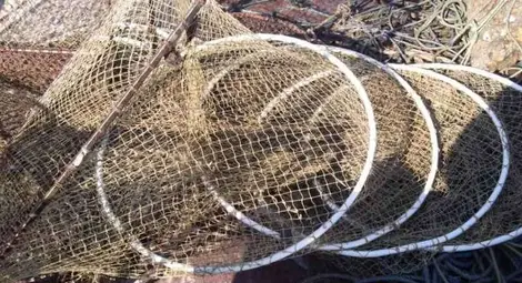 Конфискуваха винтери  и мрежи на бракониери