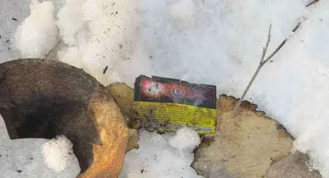 Самоделен фойерверк уби на място русенски бизнесмен