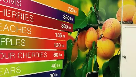 Съюзът на Дунавските овощари с внушително представяне в Берлин на  ФРУТ ЛОГИСТИКА 2024