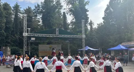 &bdquo;Веселчани&ldquo; от Добрич станаха големите победители на Националния фолклорен фестивал в Николово