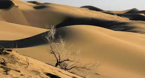 Учени откриха мистериозни каменни структури в саудитската пустиня