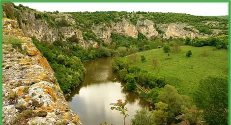 Момче подарява красиво полско цвете на любимата и дори не подозира, че нарушава закона