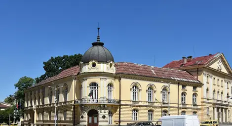 Пеевски дари 50 000 лева на БАН за изследвания срещу К-19