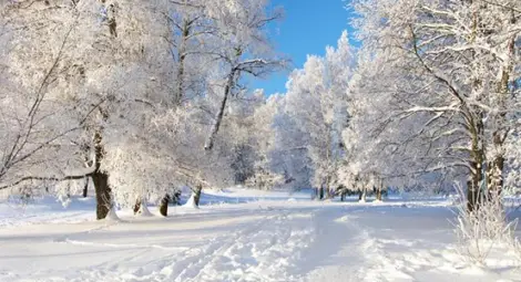 Ето кога ще завали сняг