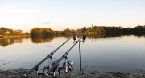 4500 души избират между урната и въдицата през уикенда