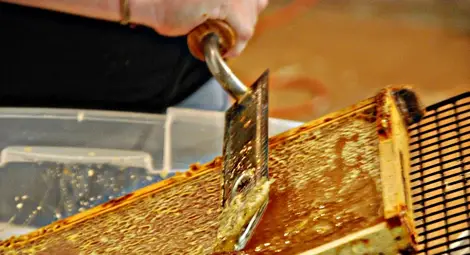 Приемът по мярка А на пчеларската програма започва на 10 март