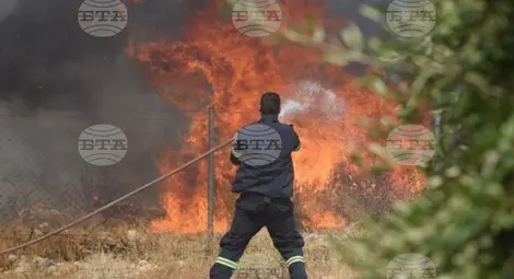 Снимка: БТА