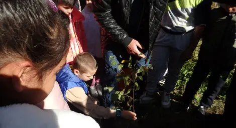 В Ценово засадиха фиданки за кампанията &bdquo;Бъди смел, бъди добър!&ldquo;